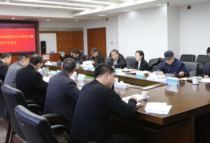 suncitygroup太阳集团公司党组召开党史学习教育专题民主生活会